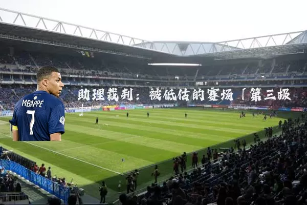 助理裁判：被低估的赛场「第三极」